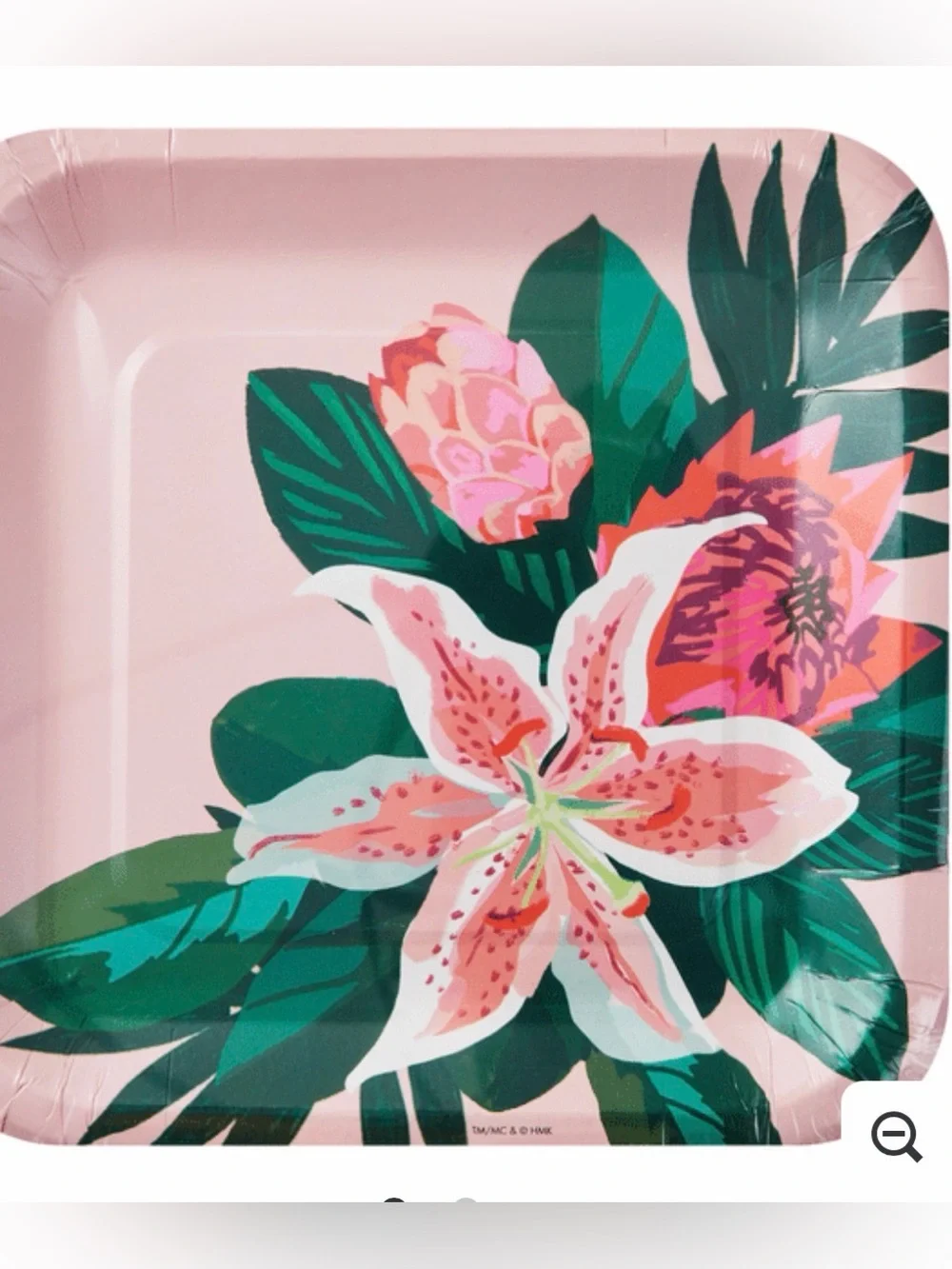 Floral Pink Paper Party Plates - Pack Set of 5